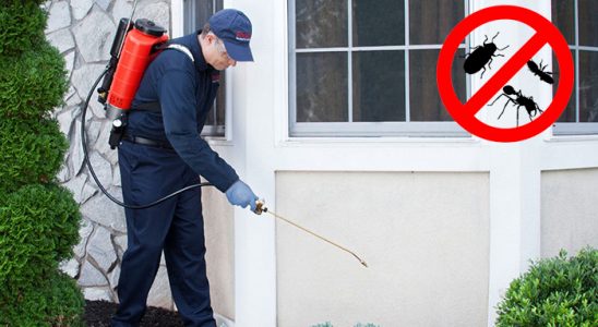 Gümüşpala Dezenfeksiyon böcek ilaçlama ve haşere kontrolü — ilaclama-tr.com